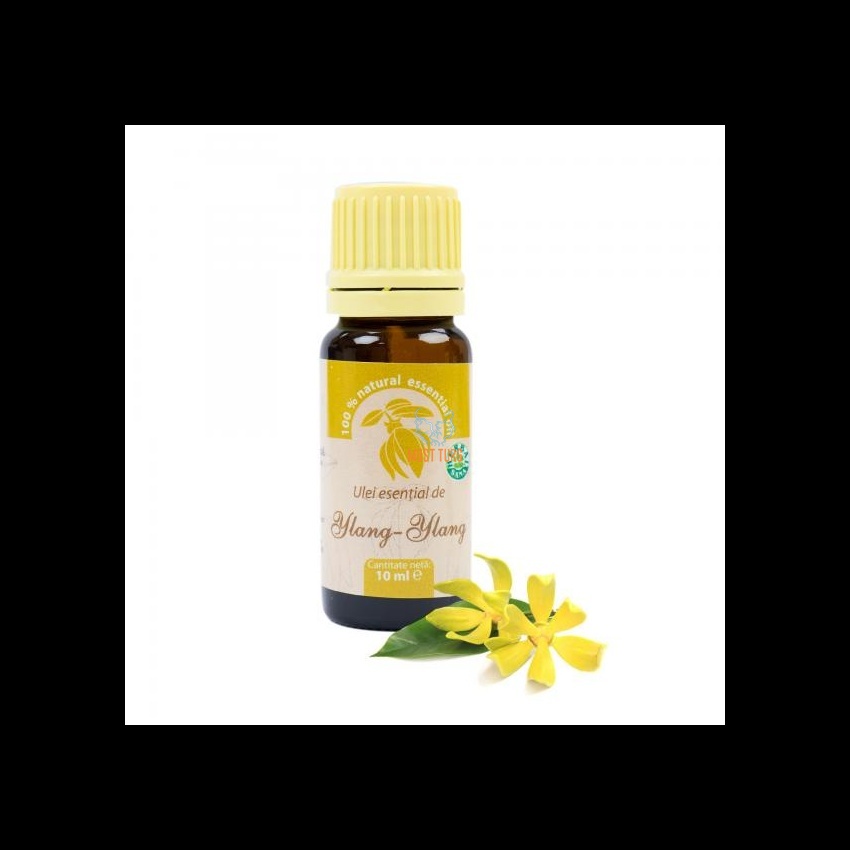 Eeterlik õli Ylang-Ylang 10ml