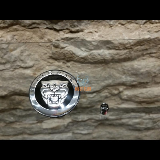 Veljekapslite kpl(4) koos ventiilikapslitega Jaguar, must