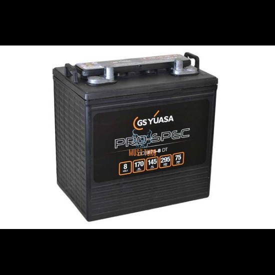 Yuasa Pro-Spec 170Ah 8V AGM +/- 262x181x245mm  DCB875-8