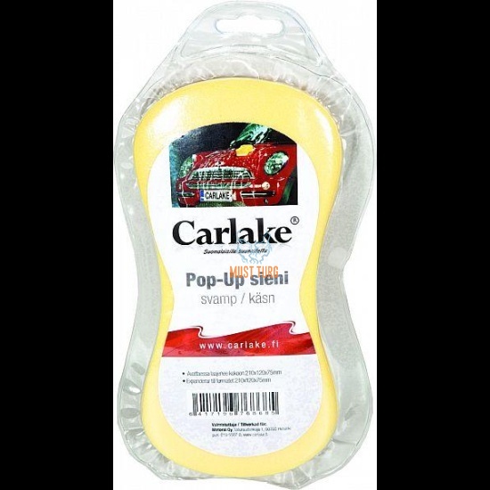 Pesusvamm 22x11x7cm Carlake