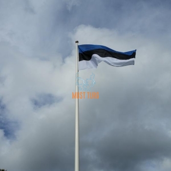Flag of the Republic of Estonia 165x258cm with UV protection