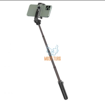 Bluetooth Selfie Stick - Tripod Baseus