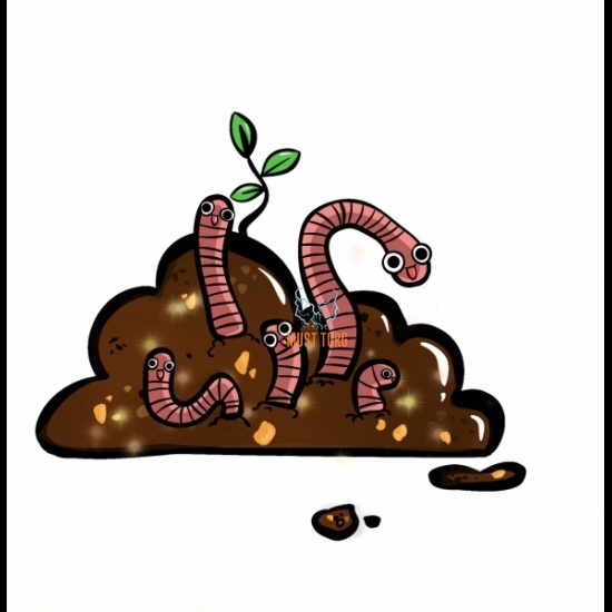 Earthworms manure 2L (about 1kg)