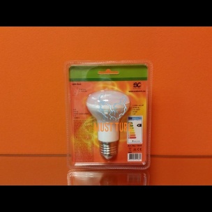 Light bulb R63 8W 700lm E27