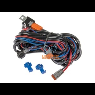 Juhtmekomplekt kahele tulele DT2 12V Max 300W