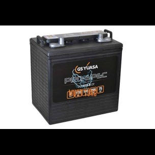 Yuasa Pro-Spec 170Ah 8V AGM +/- 262x181x245mm  DCB875-8