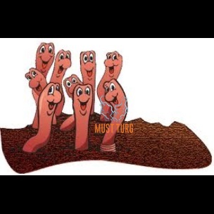 Earthworms manure 2L (about 1kg)