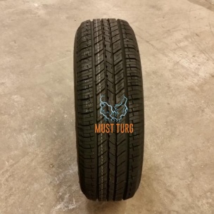 225/65R17 102S RoadX RXquest H/T01