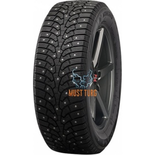 205/55R17 NANKANG SW-9 95T XL Studded 3PMSF M+S