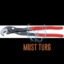 Kullinokad 250mm Knipex Cobra kummikäepidemega