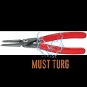 Lock ring pliers inside 12-25 mm Knipex straight
