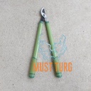 Branch cutter with telescopic arm