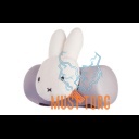 Lasteistme Yepp Mini lenksu Padding Miffy Thule