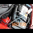 Vacuum pump 1550ml Vigor