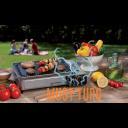 Portable gas grill Smart Plancha Kemper