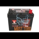 Muruniiduki aku 30Ah 330A -/+ 12V 194x125x178mm Yuasa U1R