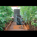 Barrel for making natural fertilizer 55L