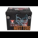 Car battery USA 66Ah 660A 12V 230X179X185mm +/- B01 Yuasa YBX3750