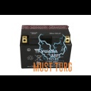 Mootorratta aku AGM 12V 11.8Ah 230A 150x84x110mm +/- TTZ14S Yuasa