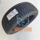 11391-25550r21_hankook_winter_icept-evo3.jpeg