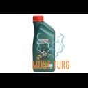 Engine oil 5W-40 CASTROL MAGNATEC C3 1L