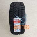 225/50R17 98H XL RoadX Frost WU01 M+S