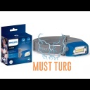 Pealamp aku ja liikumisanduriga Philips HL22M 150/300lm
