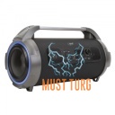 Bluetooth kõlar PNI BoomBox BT240 24W koos FM raadioga