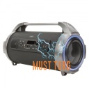 Bluetooth kõlar PNI BoomBox BT240 24W koos FM raadioga