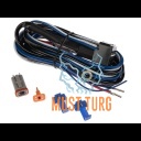 Wiring harness DT4 12V 40A